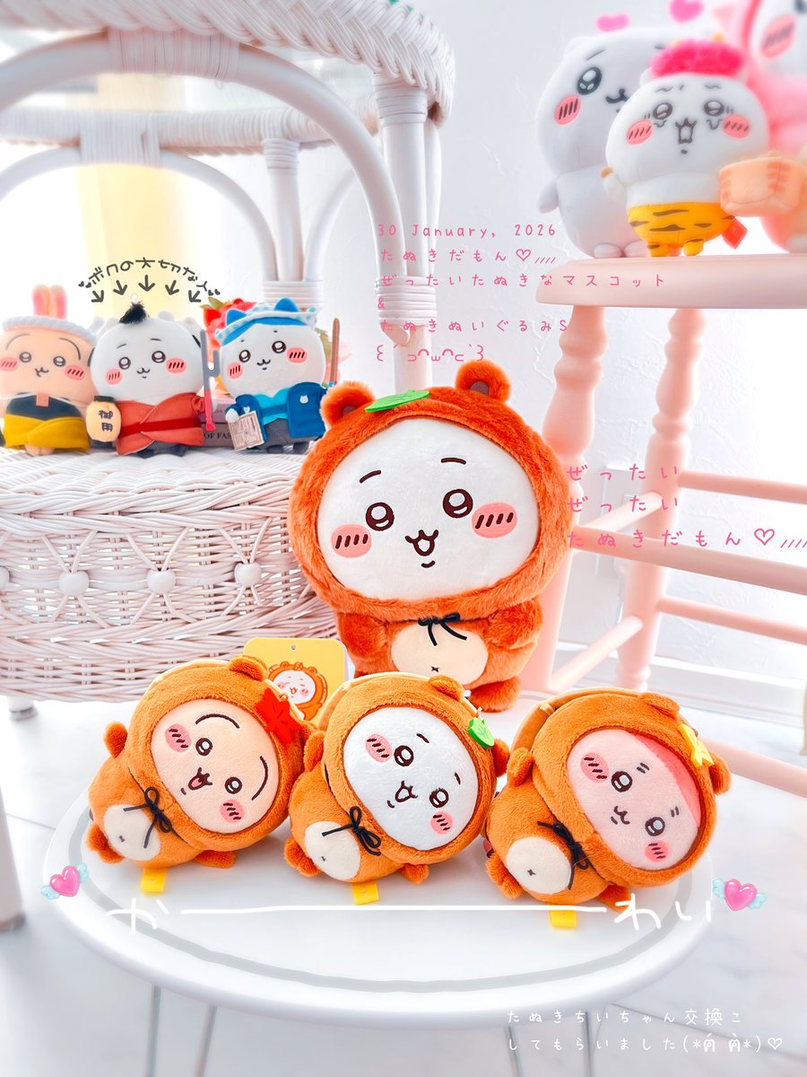 たぬきだもんくじ