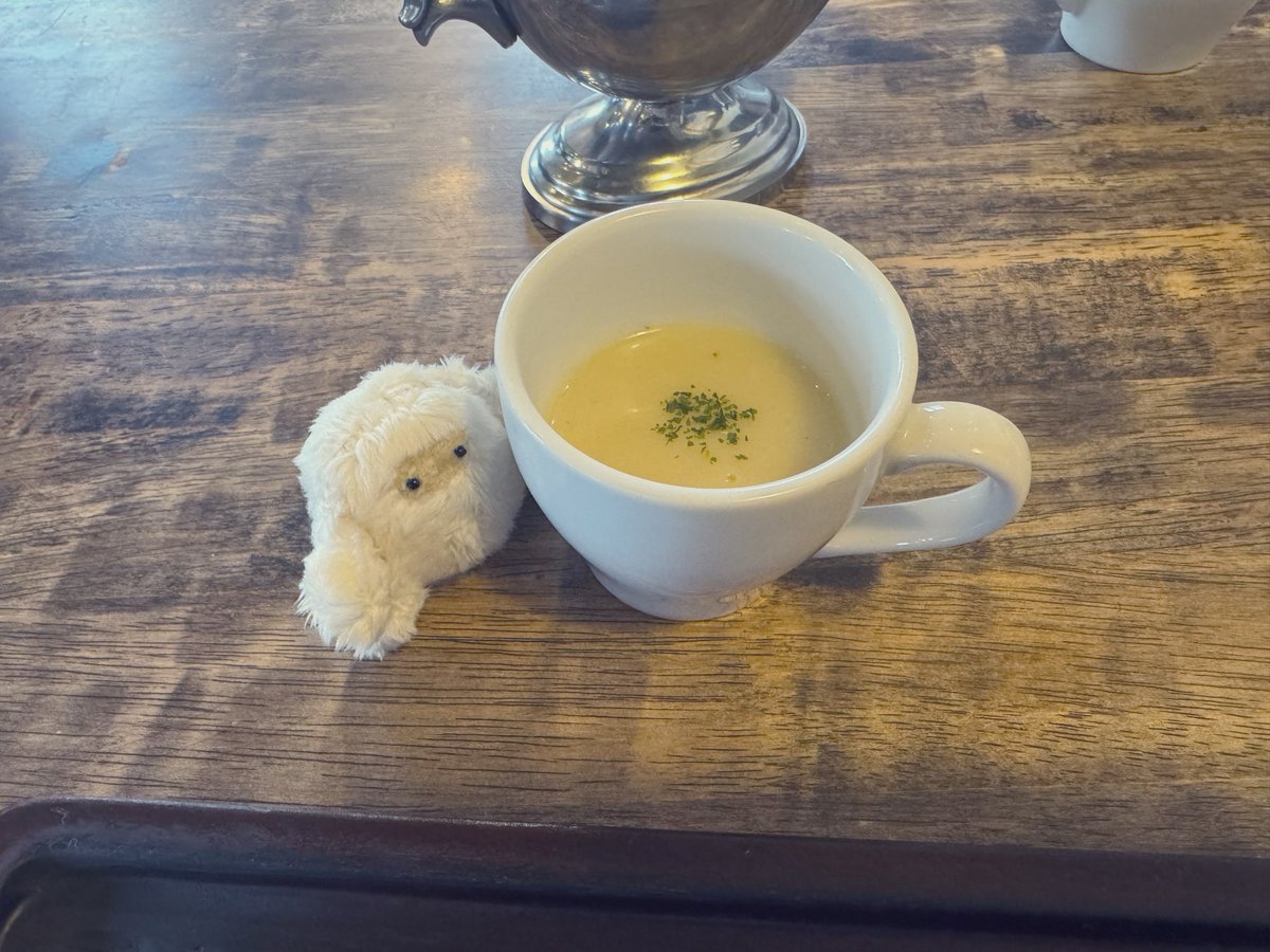 しらたま (@shiratama_kuma) / Posts / X