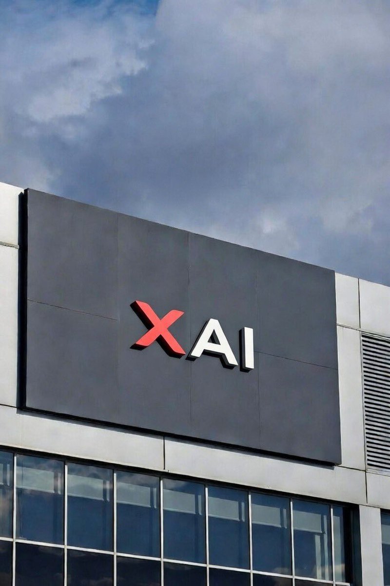 코찌코찌 tweet media