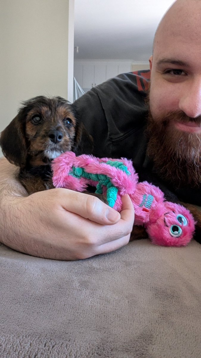 BloodyDrongo tweet media