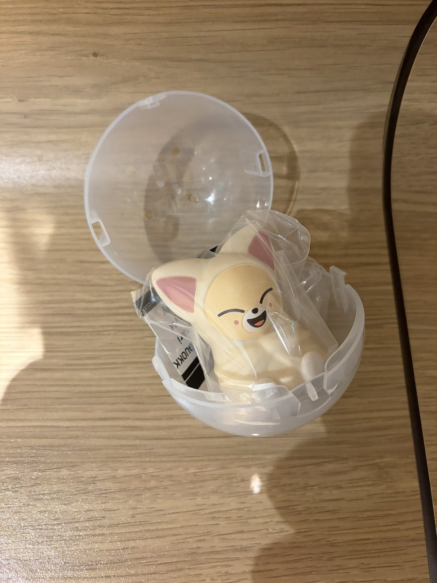 ちゃむ。₍՞ •̀.̫•́.՞₎ tweet media