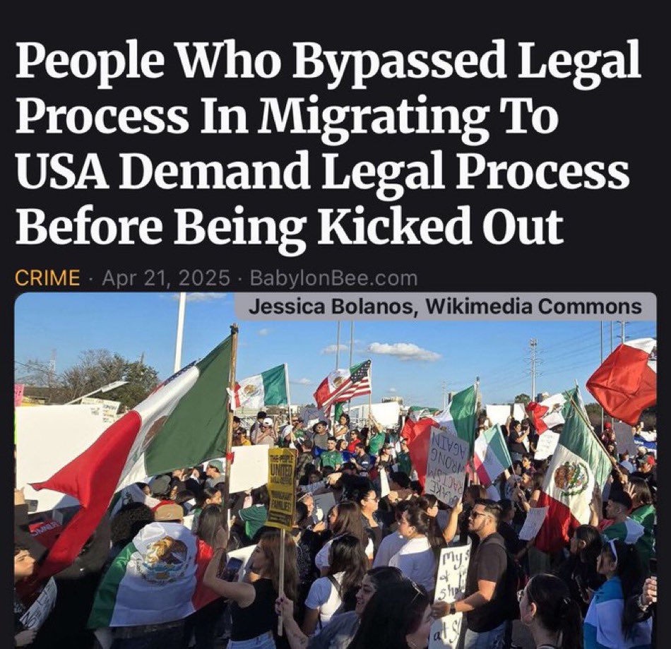 LangmoreRoscoe's tweet image. 