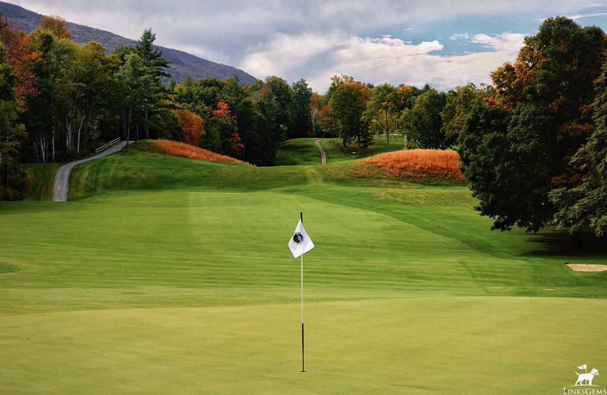 LinksGems tweet media