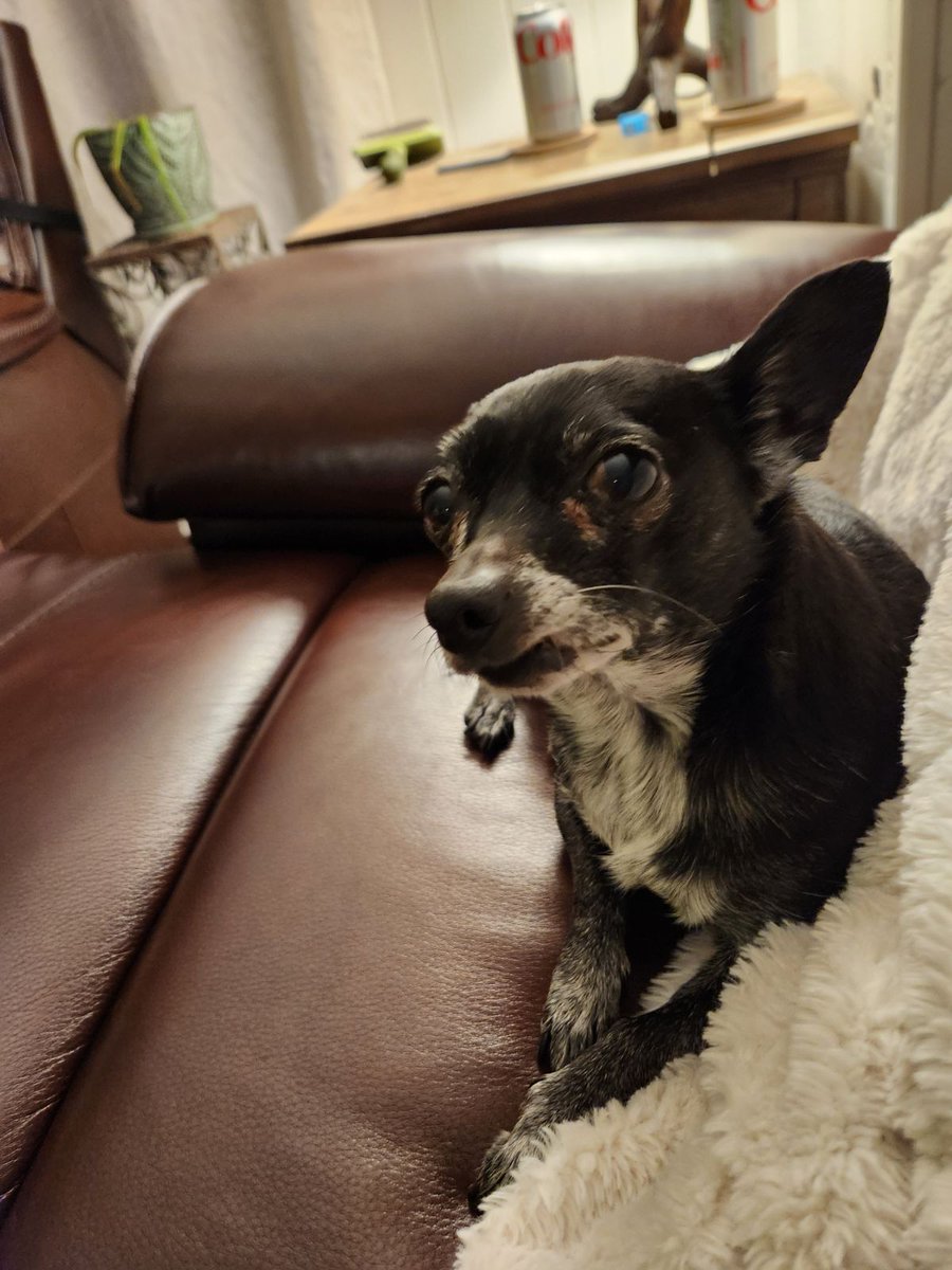 "humanity... lost... september 2026... chaos"

what's this silly goober yapping about? :3