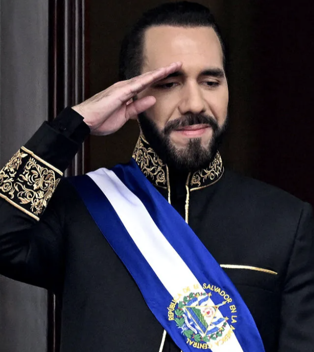 BlockchainedIndia tweet media