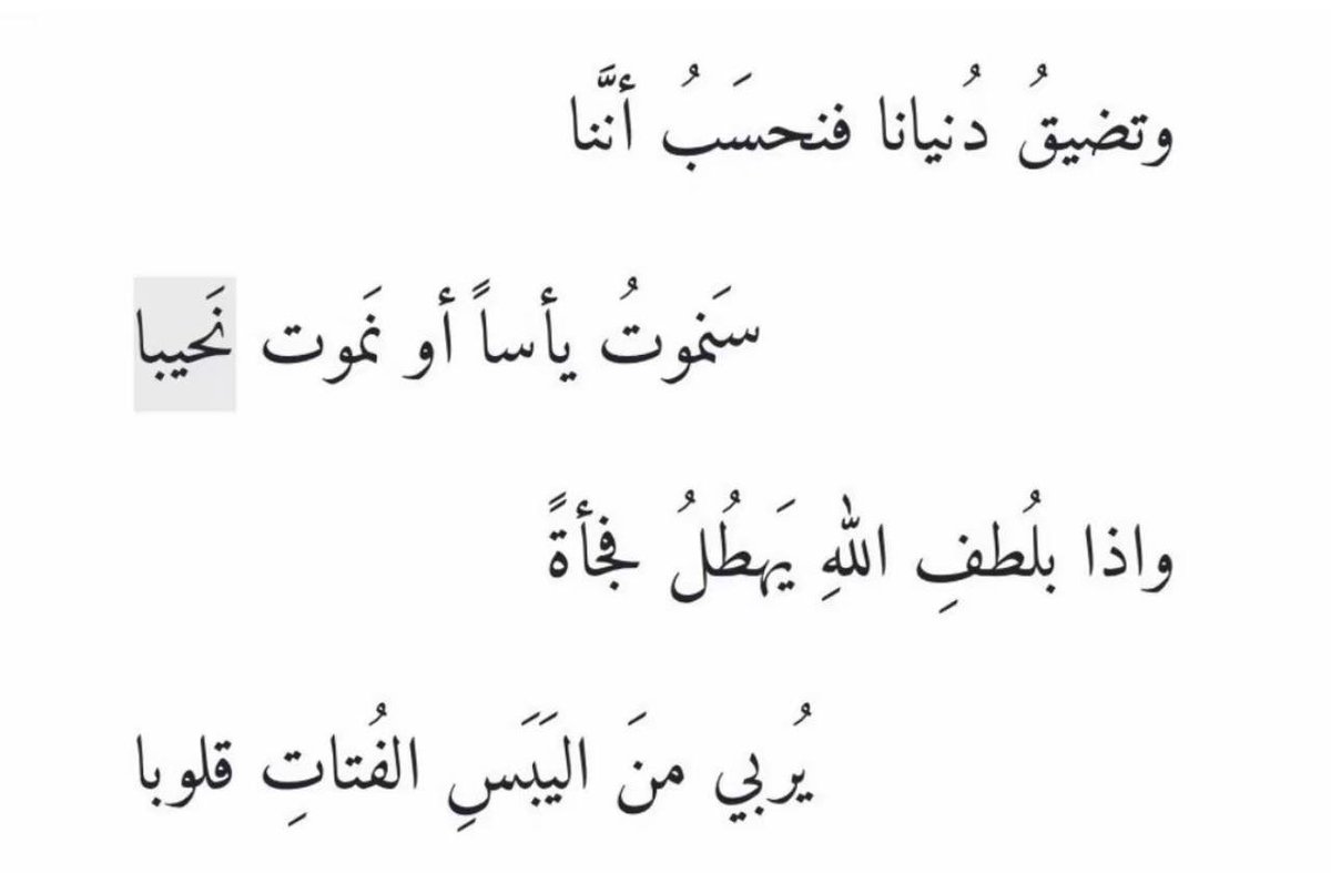 بيت شعر عربي كل يوم tweet media