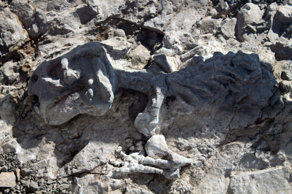 Flow Travel tweet media