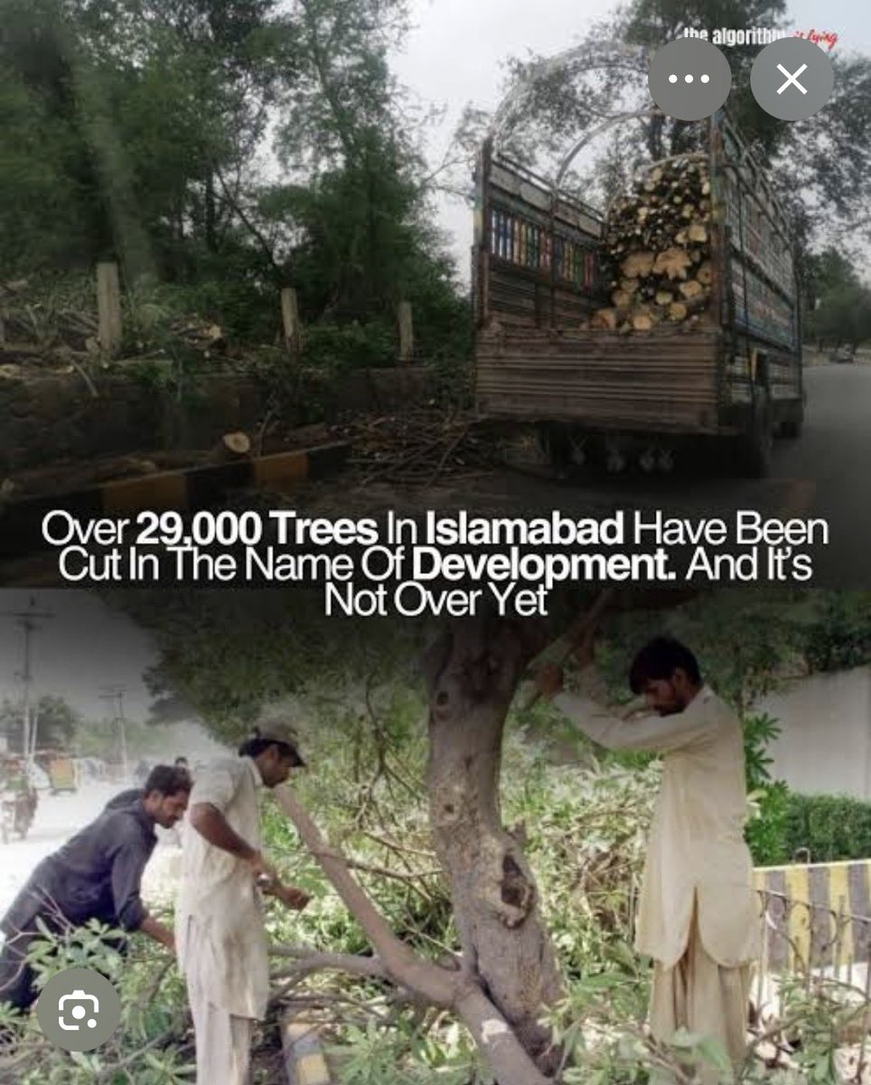 KlasraRauf's tweet photo. اونچی دکان پھیکا پکوان۔

پی پی پی سینٹر شیری رحمن نے موسمیاتی تبدیلیوں کی سینٹ کمیٹی میں اجلاس سے پہلے سوشل میڈیا پر بڑے بڑے دعوے کر کے، وہاں اچانک یوٹرن لے کر حیران کن کمپرومائز دکھا کر ایک گریڈ بیس کے افسر رندھاوا کی دہشت سامنے جو پارلیمانی کمزوری دکھائی اور سی ڈی اے چیرمین کو سب شرکاء کے سامنے کلین چٹ دی تھی، اس پر اس اجلاس میں شریک میں اکیلا ہی مایوس نہیں ہوا تھا۔ سماجی/ماحولیاتی کارکن نیلوفر قاضی بھی حیران تھیں کہ یہ کیا ہورہا ہے۔ 

اب سابق سیکرٹری الیکشن کمشن کنور دلشاد بھی سابق وزیر ماحولیات /چیرمین کمیٹی شیری رحمن کے حیران کن یوٹرن پر شدید مایوس ہوئے ہیں جنہوں نے آج کے دنیا اخبار میں اپنے کالم میں لکھا ہے 

“ اسلام آباد میں چالیس ہزار کے قریب درختوں کی بے رحمانہ کٹائی پر سینیٹ کی قائمہ کمیٹی برائے ماحولیاتی تبدیلی اور اس کی چیئرپرسن شیری رحمن کا غیر مؤثر رویہ دارالحکومت کے عوام کے لیے مایوس کن رہا۔ توقع تھی کہ وہ شہری انتظامیہ کے چیئرمین رندھاوا کے خلاف تادیبی کارروائی کریں گی‘ مگر سینیٹ کمیٹی کا اجلاس محض رسمی کارروائیوں تک محدود رہا‘ جس سے پارلیمانی نگرانی کے نظام پر عوامی اعتماد مزید کمزور پڑ گیا۔ اسلام آباد میں درختوں کے اس قتلِ عام نے ازمنہ قدیم کی اس روایت کی یاد تازہ کر دی جس میں اقتدار کے تحفظ کے لیے زندگیوں کو روند دیا جاتا تھا۔ جس شہر یا ریاست سے درخت ختم کر دیے جائیں وہاں دیرپا خوشحالی برقرار نہیں رہ سکتی۔ اولیائے کرام کی زندگیاں اس بات کی گواہ ہیں کہ درخت لگانا اور ان کی حفاظت کرنا محض ماحولیات نہیں بلکہ بقائے انسانی کا اصول ہے”..

یہ ہے elite capture اور سیاستدان اور بابوز کا unholy alliance ۔ 
یہ مشکل میں ایک دوسرے کو خوب بچاتے ہیں جیسے شیری رحمن نے محمد علی رندھاوا کو اپنی کمیٹی اجلاس میں بچایا۔ ایک دن پہلے شیری رحمن نے طلال چوہدری کے ساتھ سینٹ کمیٹی برائے داخلہ میں وعدے کے مطابق رندھاوا کو  اجلاس میں تنگ نہیں کیا چاہے اس بابو نے پورا اسلام آباد ہی اجاڑ دیا تھا۔۔ 
سیاسی /بیوروکریٹس تعلقات شہر کی بربادی سے زیادہ اہم ہیں۔ پہلی دفعہ شیری رحمن جیسی سینٹر کو ایک گریڈ بیس کے افسر سامنے دہشت زدہ دیکھا کہ بات تک نہیں ہو پارہی تھی۔ 
توبہ😳

@CDAthecapital @RandhawaAli  @MohsinnaqviC42  @CMShehbaz  @betterpakistan  @DrMusadikMalik  @sherryrehman @PalwashaKhan18 @ShaziaAttaMarri @sharmilafaruqi  @BBhuttoZardari 

@ninoqazi