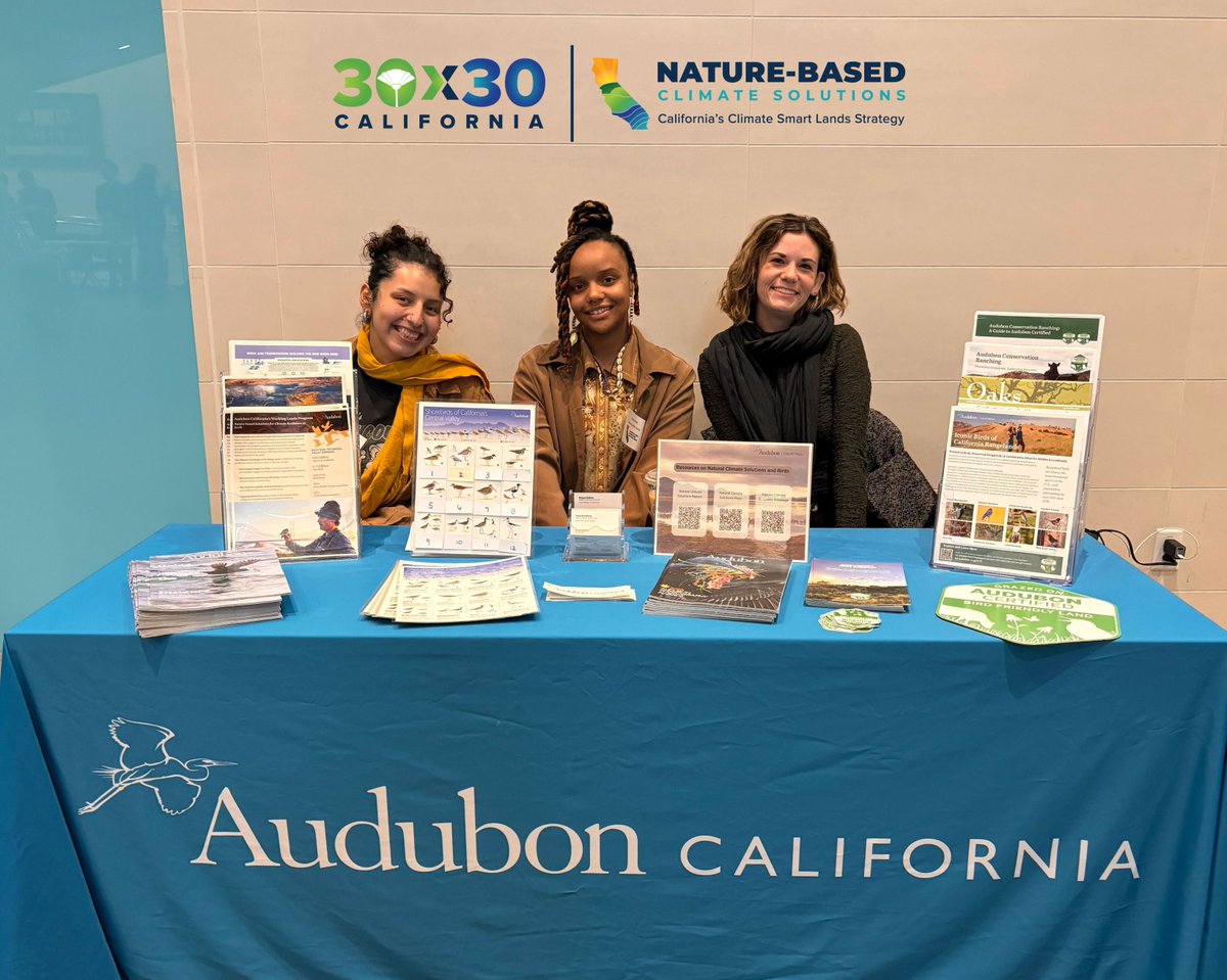 AudubonCA's tweet photo. Today our policy, working lands, &amp; conservation ranching teams enjoyed discussions on strategy, progress, messaging, and momentum at CA’s first Nature-Based Solutions Summit.⁣ TY @CalNatResources for the opportunity to connect and learn with an all-star lineup of speakers. https://t.co/cbDQ8QiNnN