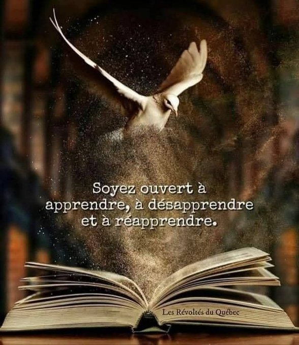 DVanOnacker's tweet image. Douce journée à vous, à nous, à toi, à moi… 
#citation  #Apprendre ou à laisser 📚