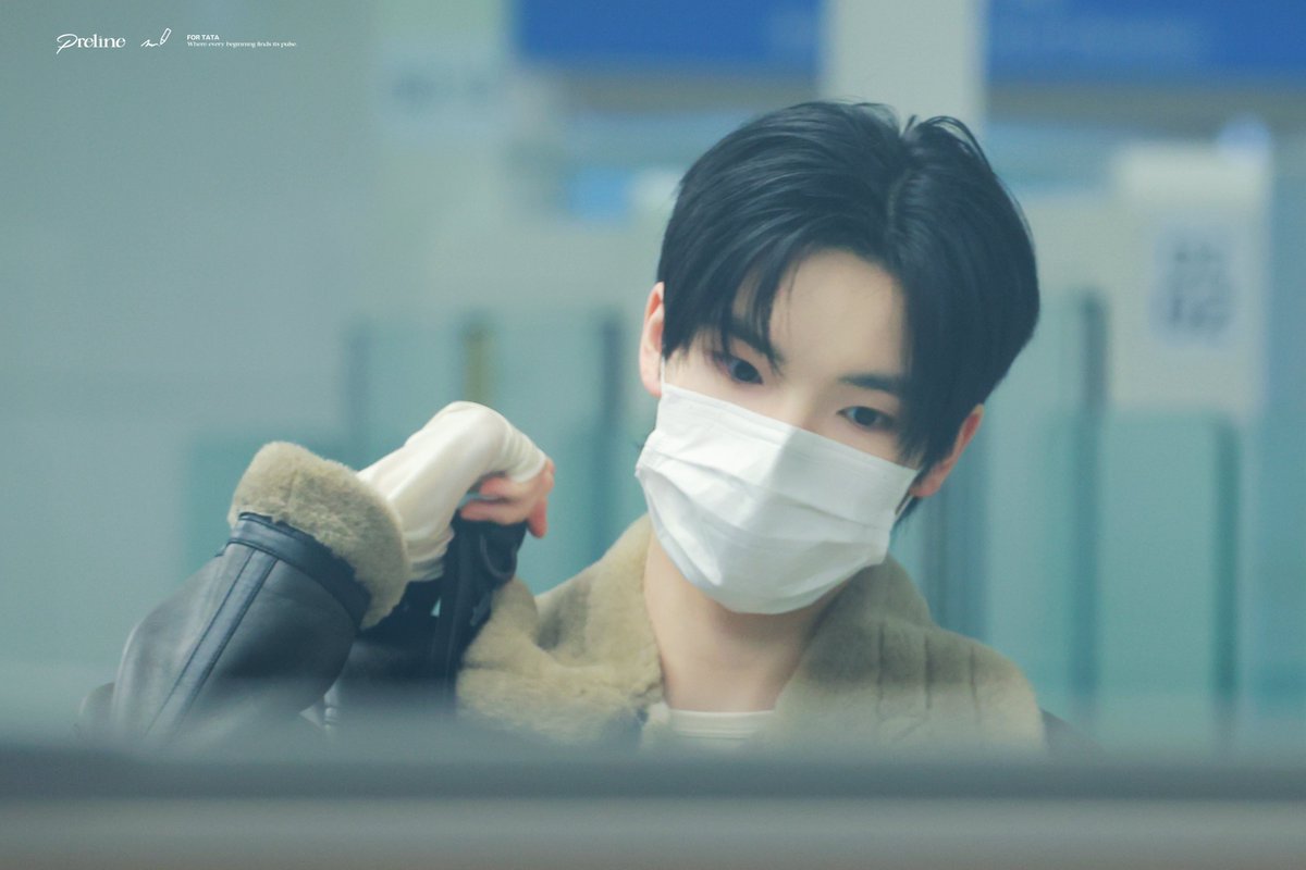 Preline. tweet media