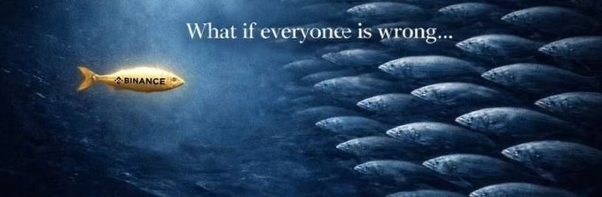 Carl 🍎 卡尔 tweet media