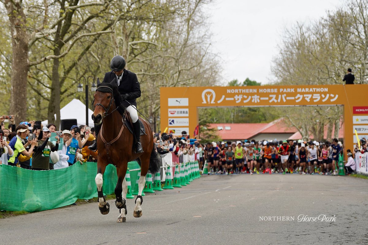 ノーザンホースパークマラソン2026」エントリー受付中！ サラブレッド