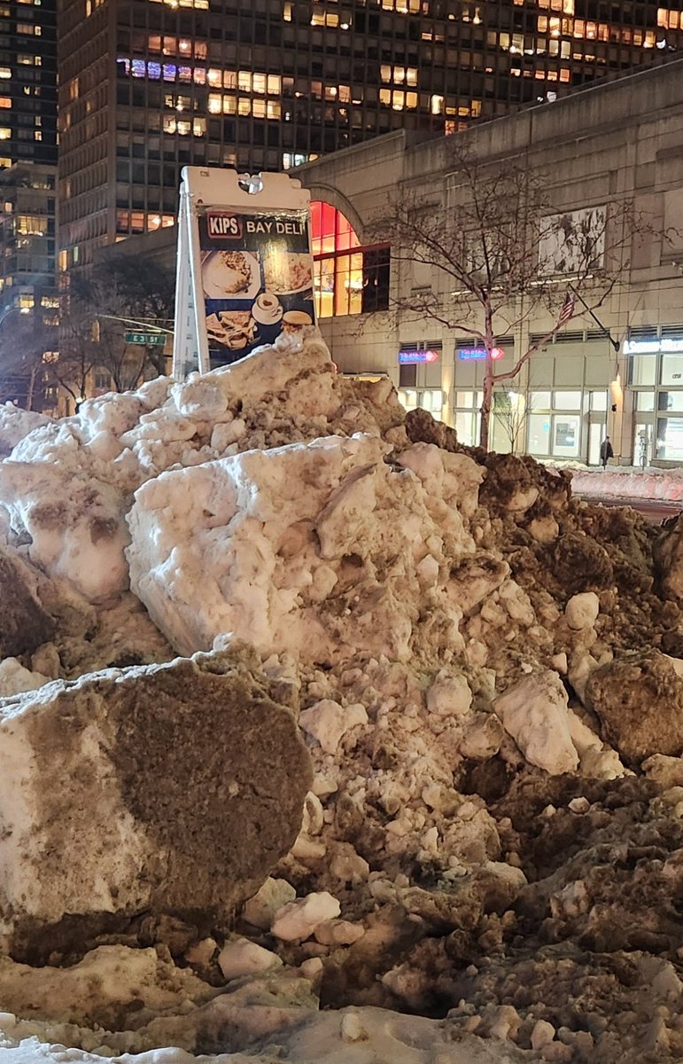 Shoutout to Kips Bay Deli across from the AMC for stopping at nothing to advertise their sandwiches