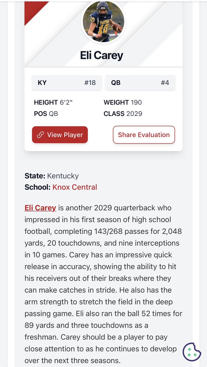 Eli Carey tweet media
