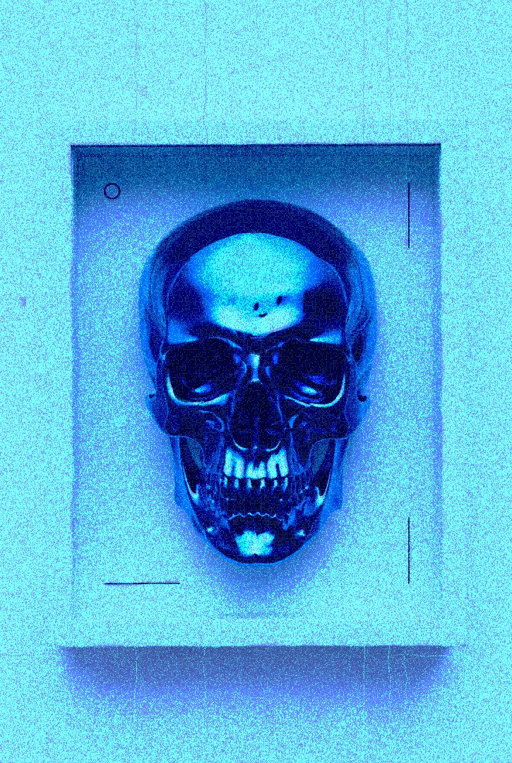 SHARK 🦈 tweet media