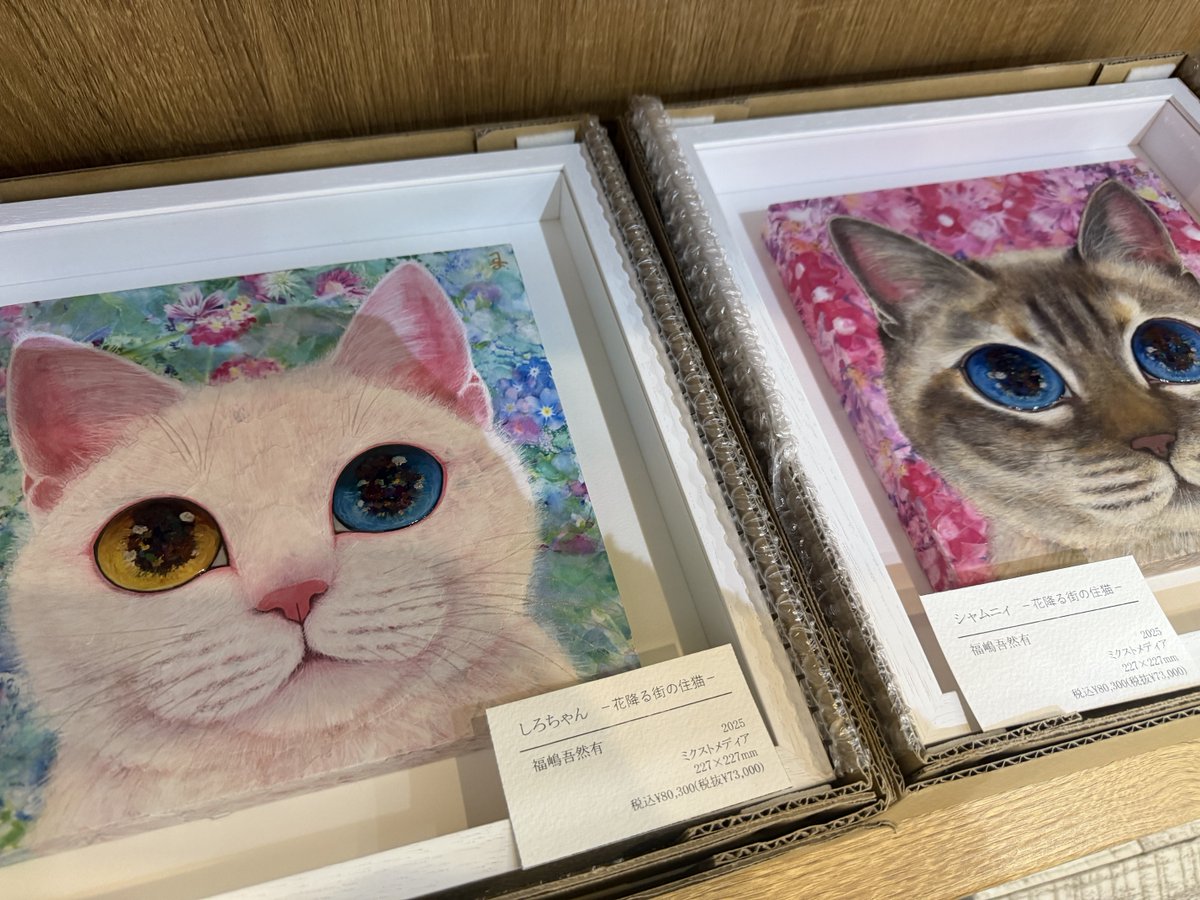 福嶋吾然有 (@AsariCats) / Posts / X