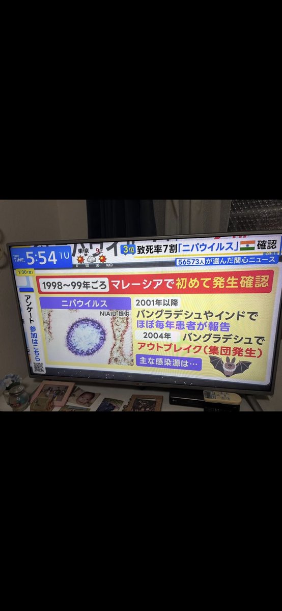 しばらくいない間Thread民だったんだけど、これ見て思い出して戻ってきた