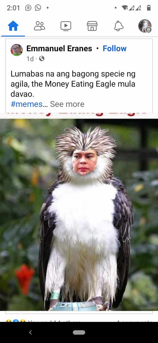 thenshaw tweet media