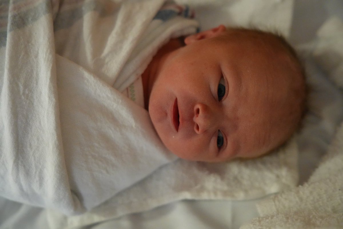 Nick Sciarappa tweet media