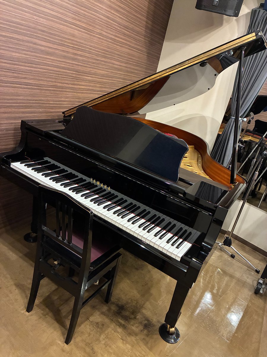 バンブルビースタジオ tweet media
