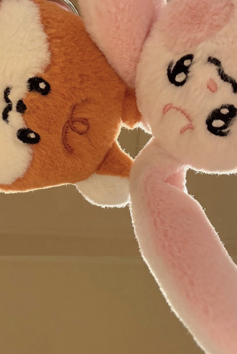 81323cc's tweet image. ฅ^• ·̫ •^ฅ ෆ ꒰ᐢɞ̴̶̷ ·̫ ɞ̴̶̷ᐢ꒱