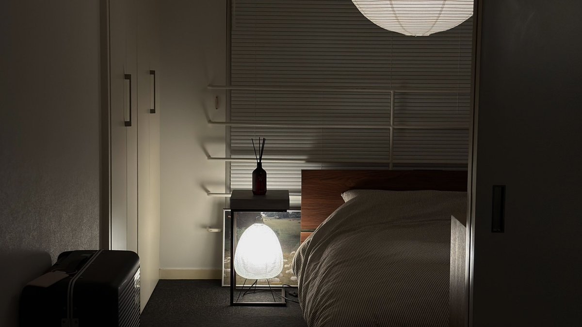 Post by shin on X: 11:00 PM