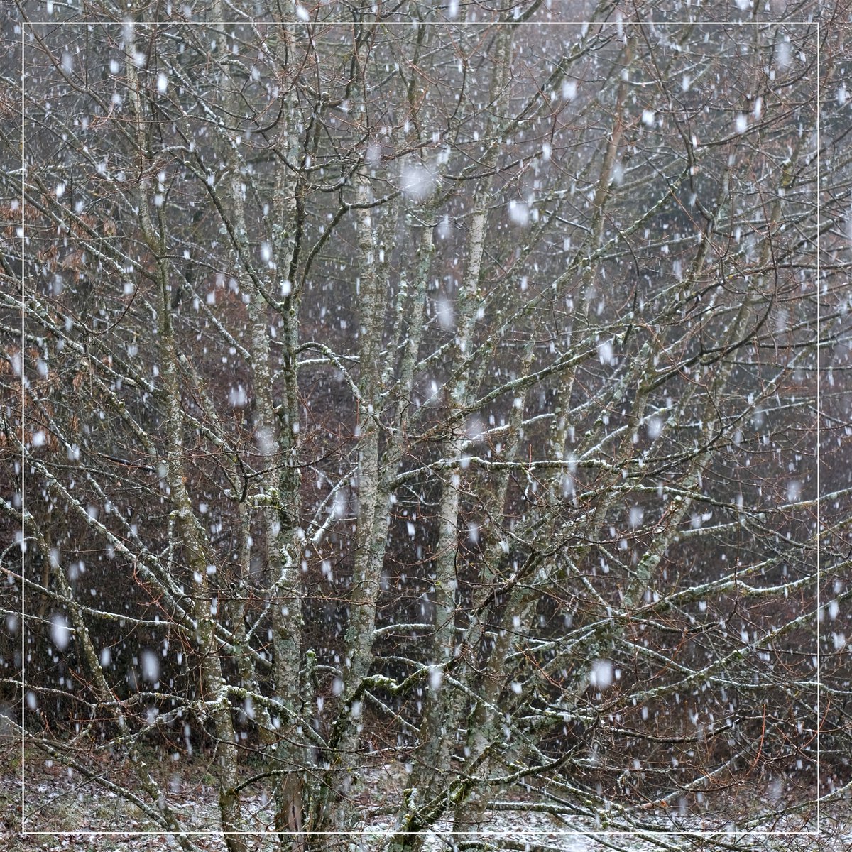 fli (@fli_dasoriginal) on Twitter photo 