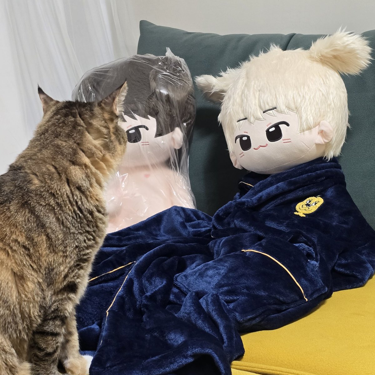 내 동생 왕찬이👼🍼 
누나가 꼬까옷 사줄게