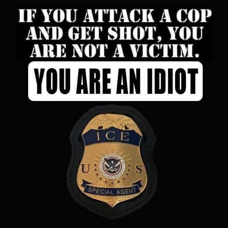 lowkey0077's tweet image. This is the stupidest thing I've heard Nichole tried running a federal agent down she would be alive if she was home being a spouse or mother and Alex was spitting on agents and ILLIGEALY carrying  a gun and #obstructing so you take that chance it