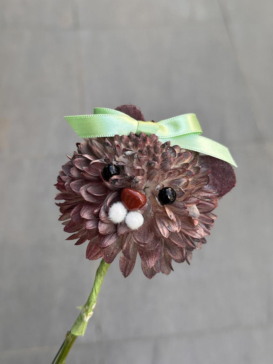 처음부터끝까지달곰하다