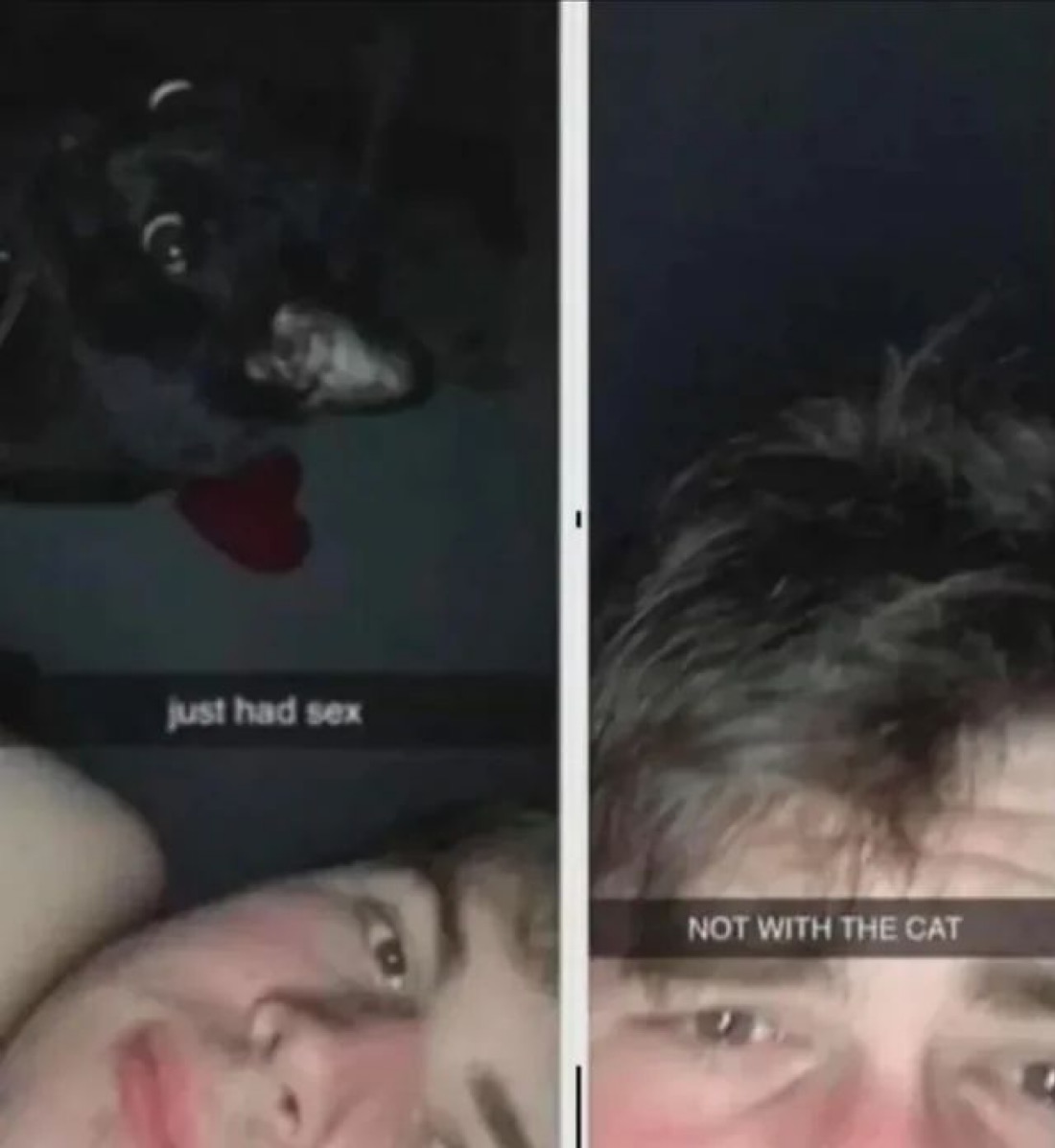 NoContextHumans's tweet image. 