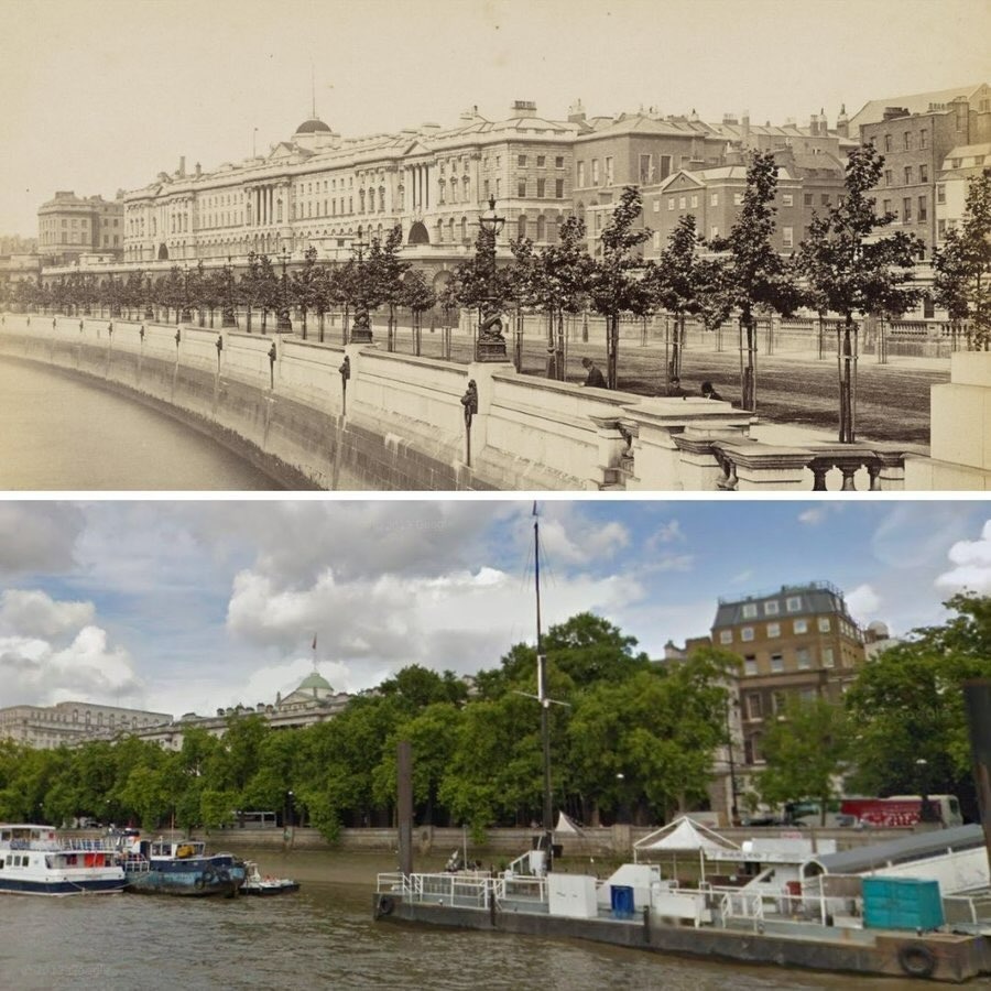 Trees for Streets tweet media