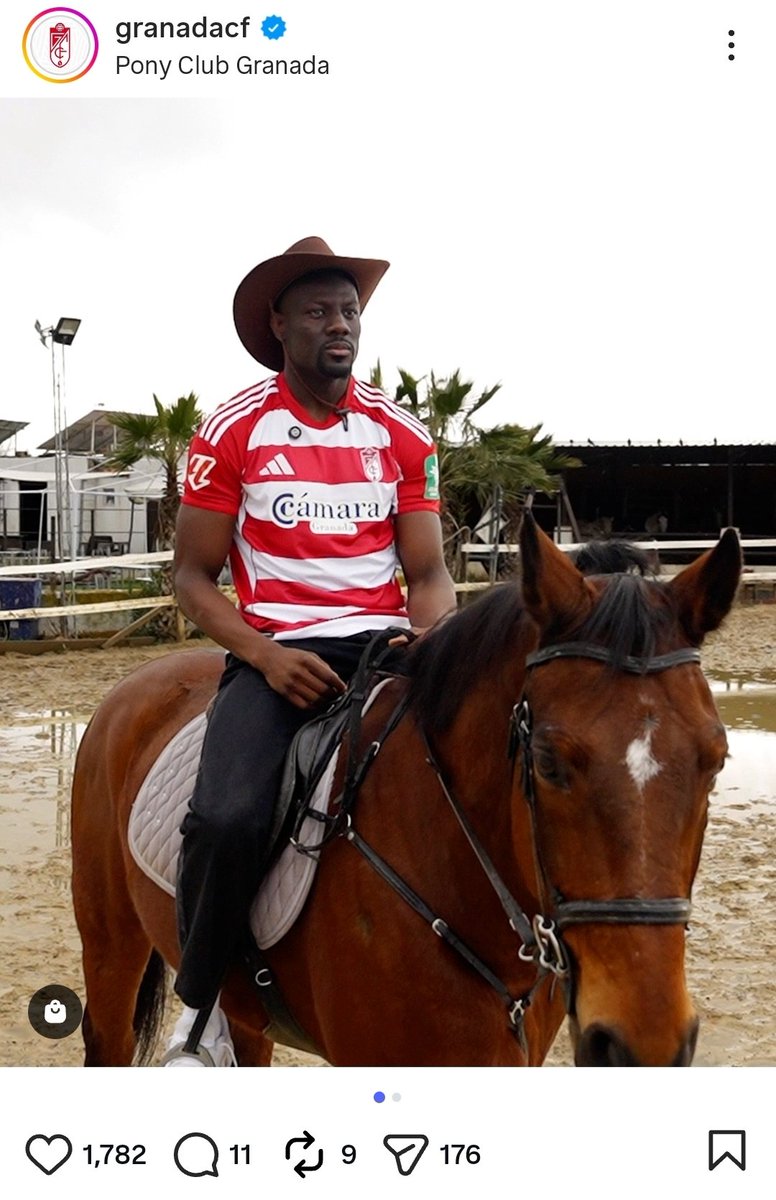 Bambo has signed for Granada in Spain. Great way to announce the signing!!!

'His horses f**king massive, one, two, three, four'