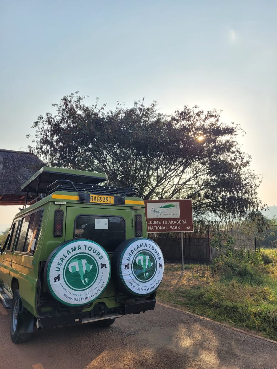 ToursUsalama's tweet image. Weekend vibes!
Welcome to #Rwanda, a unique #vacation awaits for u with @ToursUsalama. 

📩usalamatours@gmail.com

#visitrwanda #TravelTips #Africa #UsalamaTours #Safari #WeekendVibes #Encounter #Kigali #HoneyMoon #AdventureAwaits #CoupleGoals #ValentinesDay2026 #ValentinesGift