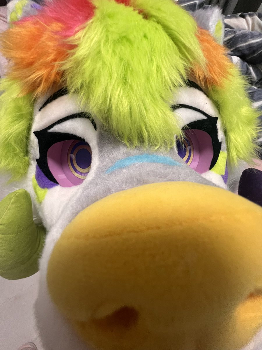 新宝宝来啦！
<a href="/mewantwife/">Niyaaaayayaaa💛</a> 感谢😽
#furry #fursuit #FursuitFriday #兽圈 #兽人控