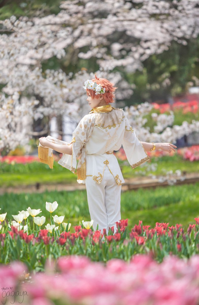 Deuce__issoncos's tweet image. twst cosplay Ace ✿.*･

復刻🧚‍♂️✨️

photo @1009kgy