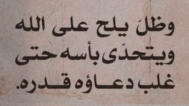 Erin🪼 (@alaofoq) on Twitter photo 