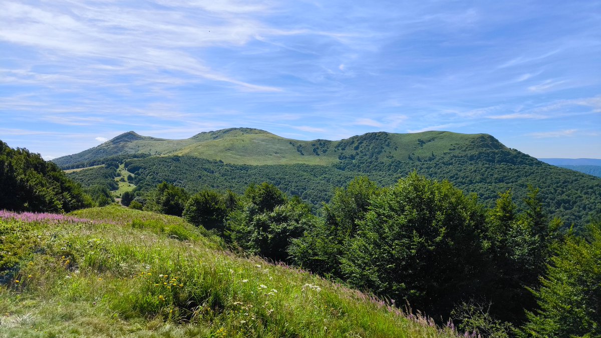 FreeWolf (@johnlocke1125) on Twitter photo 