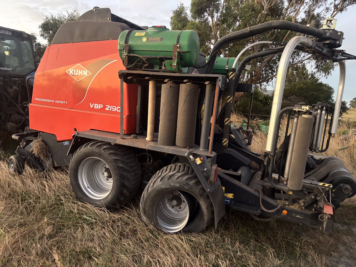 Peter Young🇦🇺 tweet media