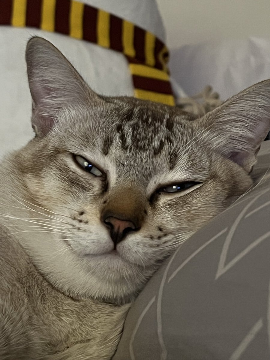 Maichaiphuchai's tweet image. เก๋ากี้เปลี่ยนไปนะ 🫣