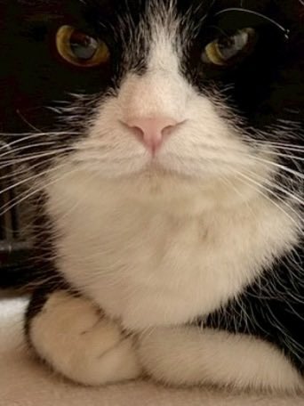 たろう (@taro20216) / Posts / X