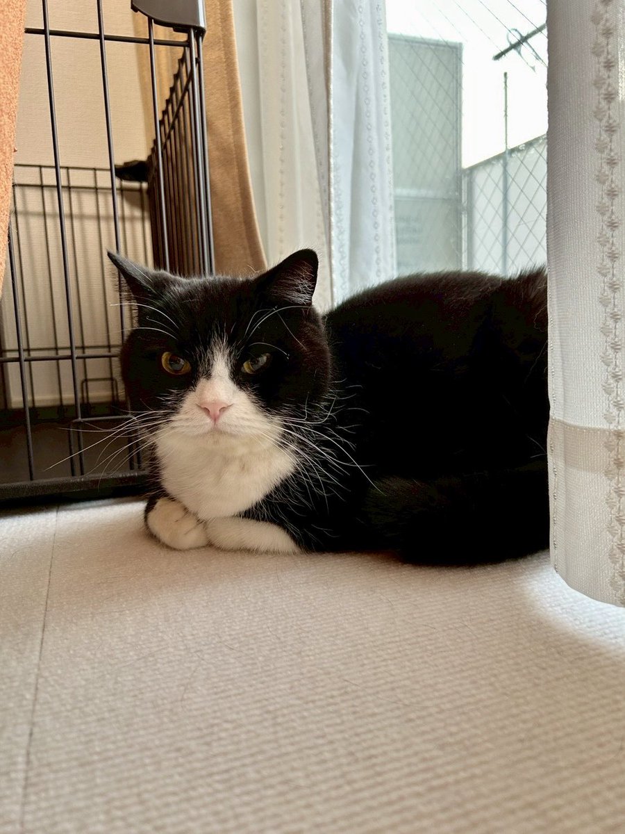 たろう (@taro20216) / Posts / X