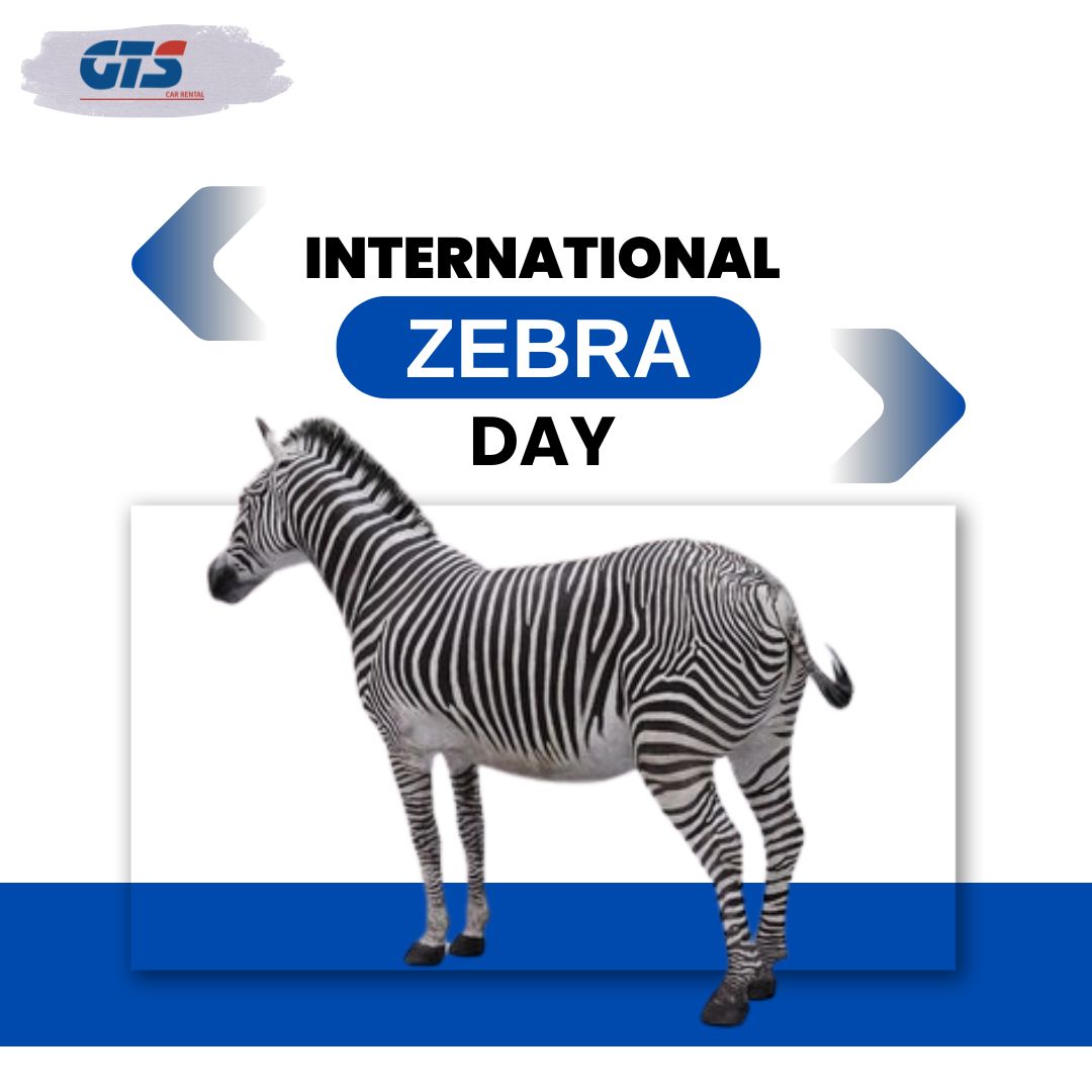 gtscab's tweet photo. International Zebra Day, 31 Jan, 2026!!!
.
#InternationalZebraDay #SaveTheZebras #ZebraConservation #WildlifeProtection #ProtectWildlife #LoveWildlife #NatureAwareness #WildlifeDay #Silver #goldprices #goldpricetoday #ViratKohli๐ต #Instagram_Account https://t.co/1fh7cAVOqx