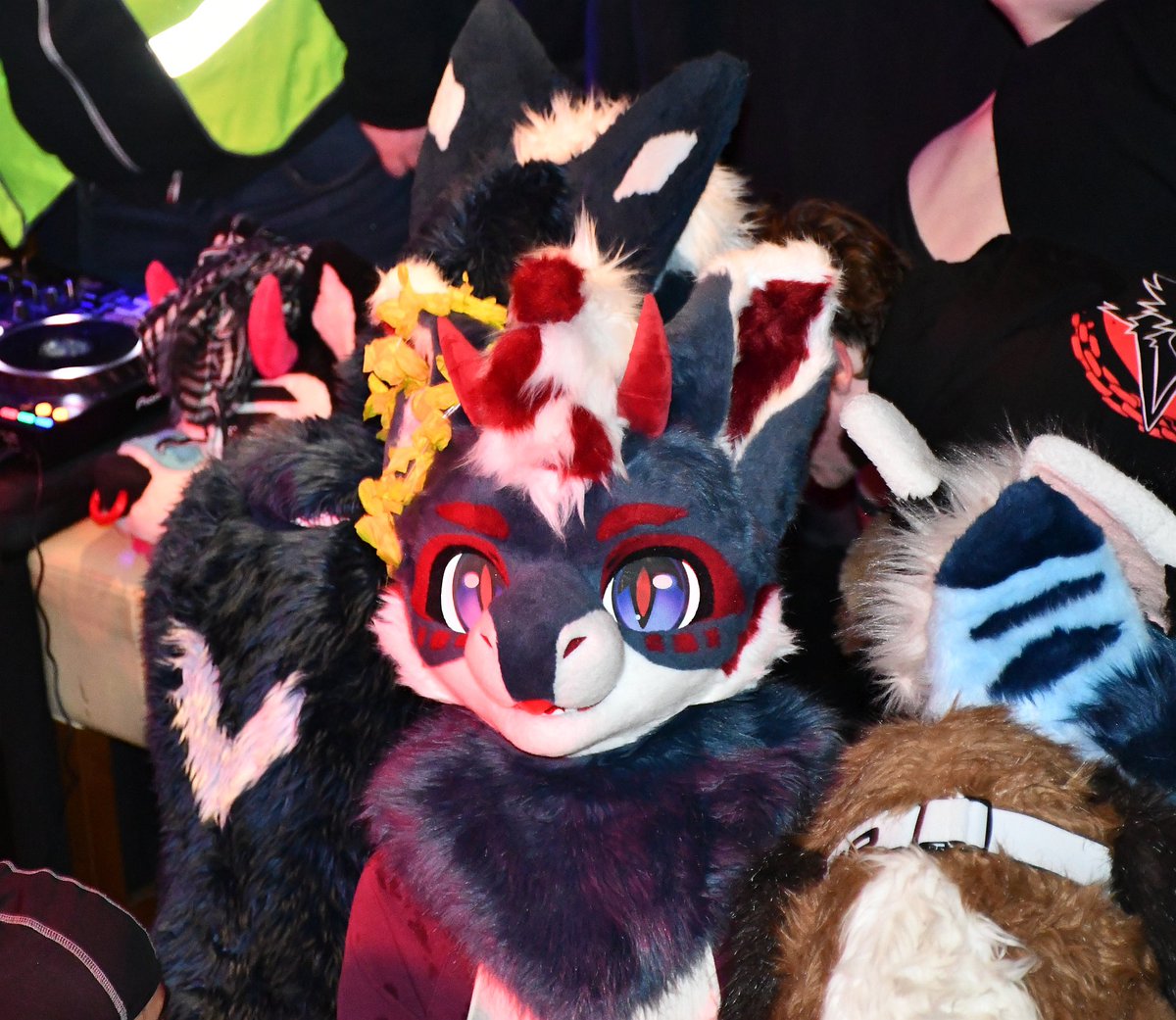 Avro🍁 tweet media