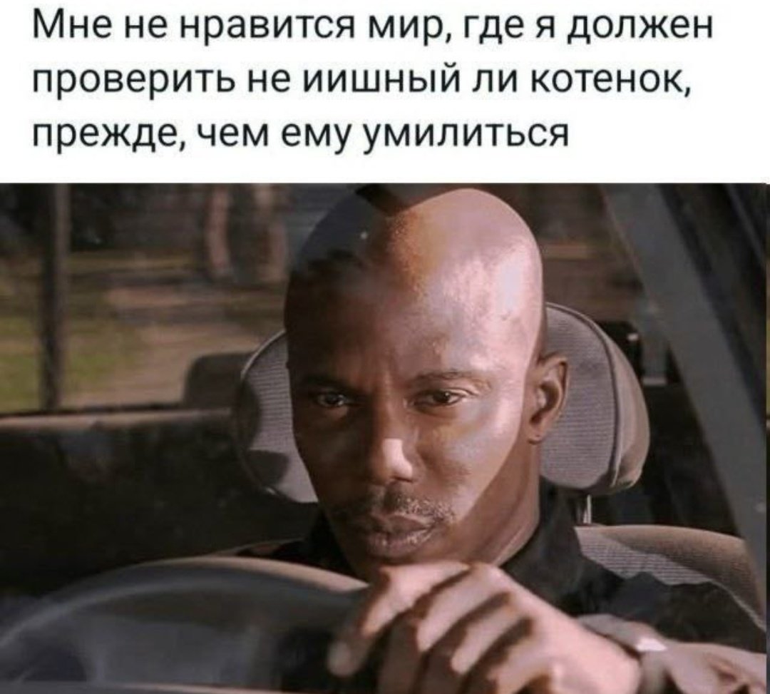 катя персиковые слезы tweet media