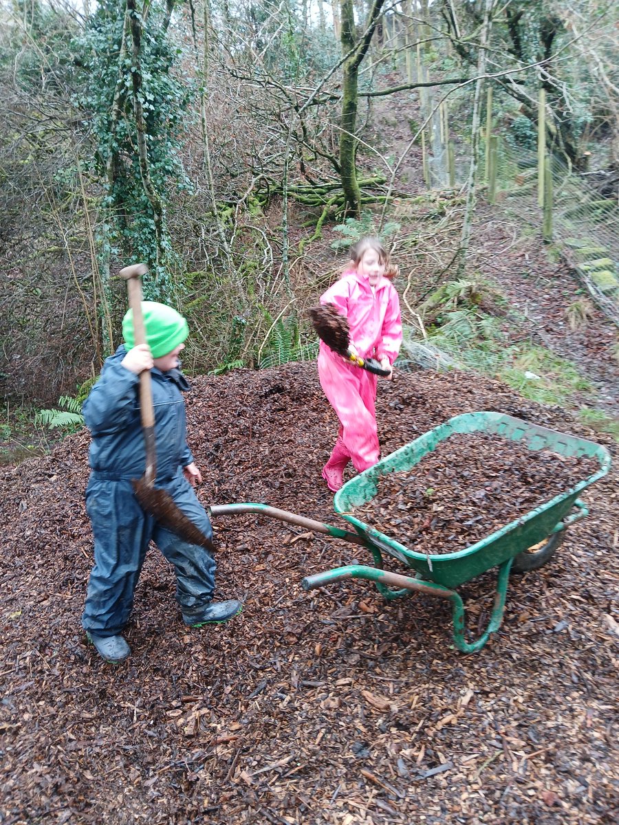 ACE Forest School tweet media