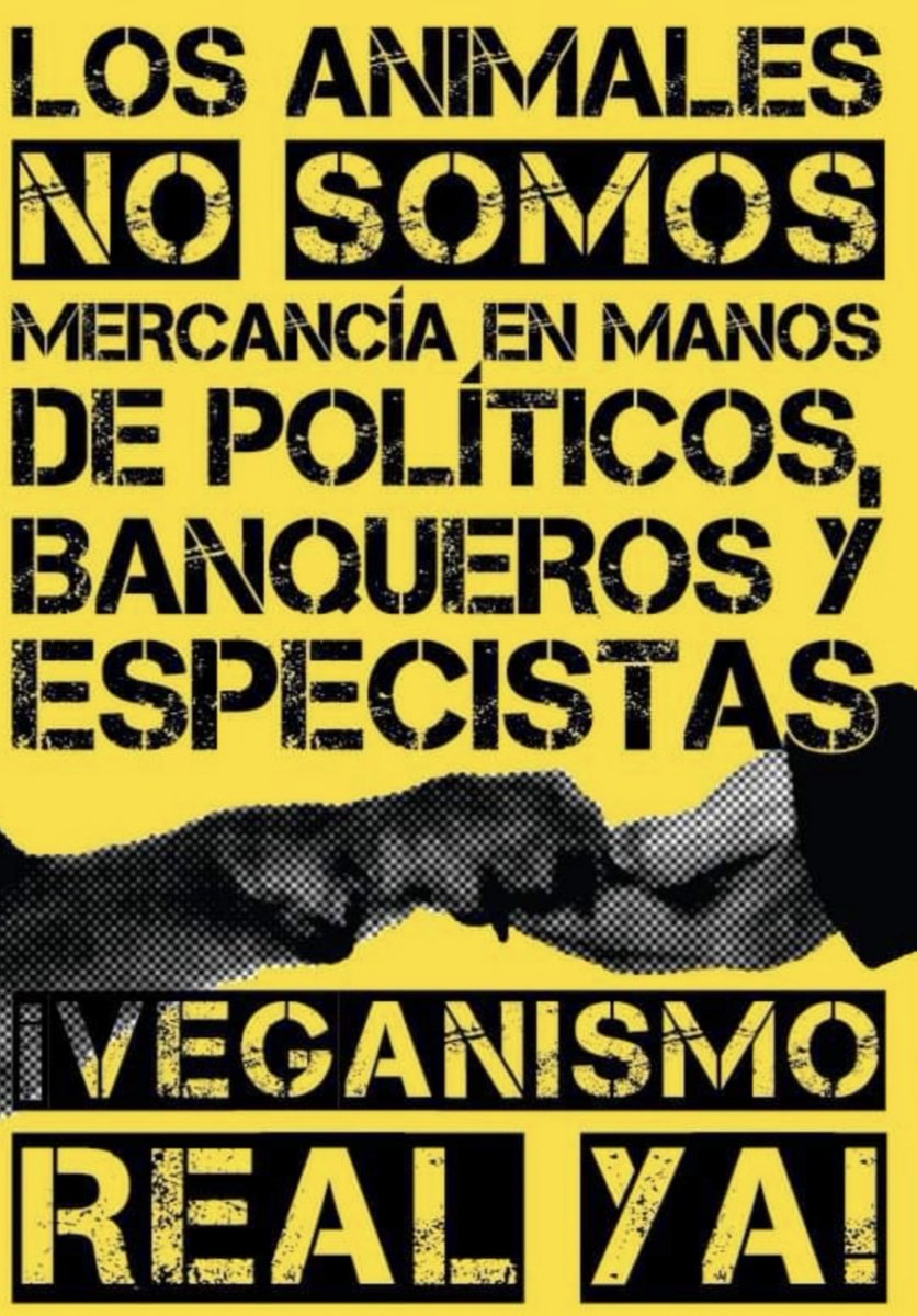 Serigrafía Vegana (@serigrafiavegan) on Twitter photo 