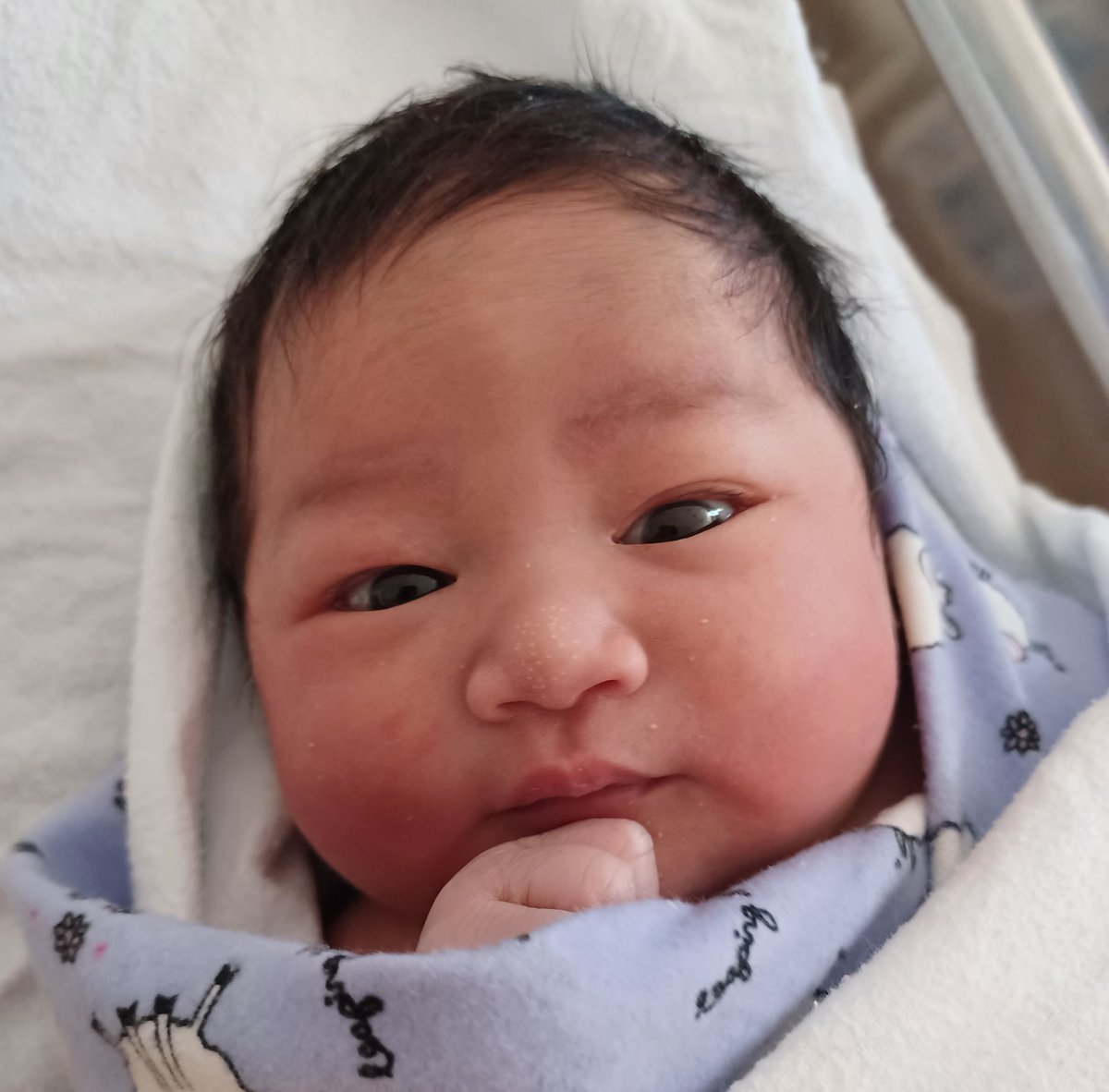 Shingo🇳🇿 tweet media