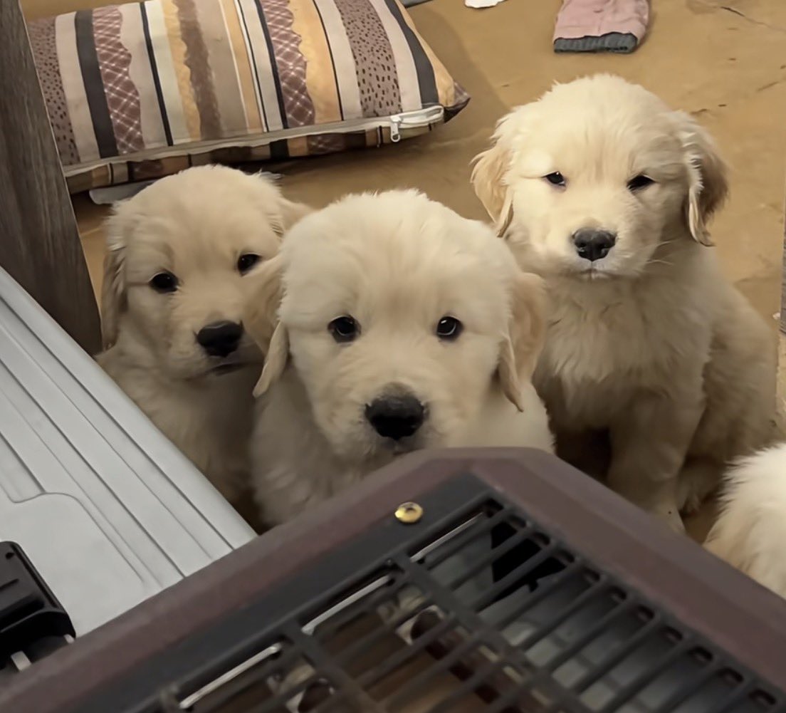 พิจากอดตุวไหนก่อน คับ